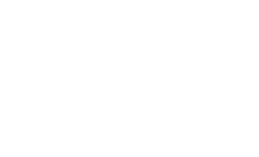 Surtidora Nacional de Rodamientos